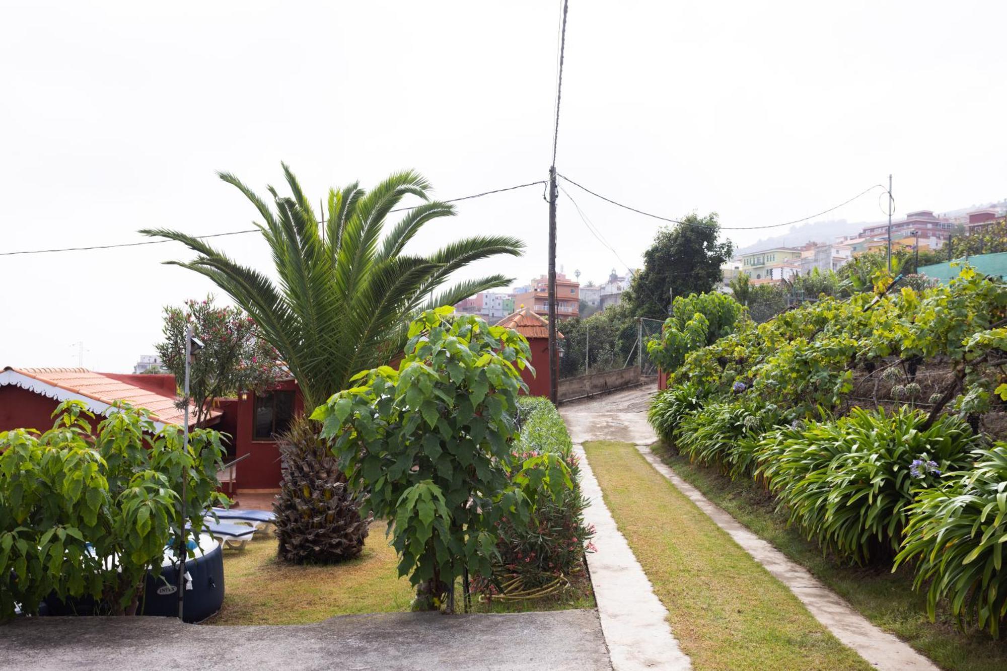 Home2Book Serene Retreat Isabel, Jacuzzi & Garden Icod el Alto Eksteriør bilde